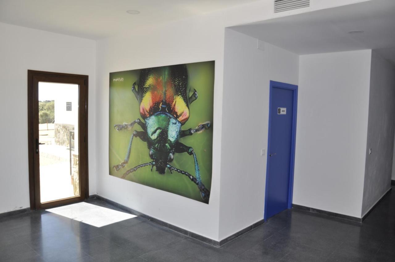 Cruceros Alqueva Hostel Cheles Εξωτερικό φωτογραφία